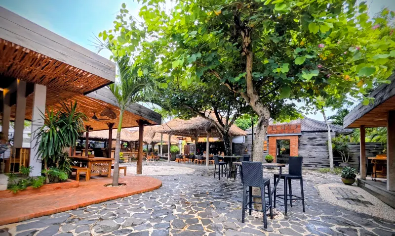 The Cashew Tree in Uluwatu, Bali